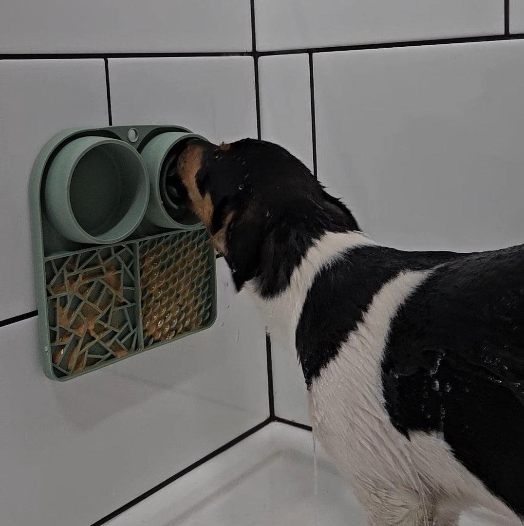 BusyPup CalmFeeder Lick Mat & Treat Station