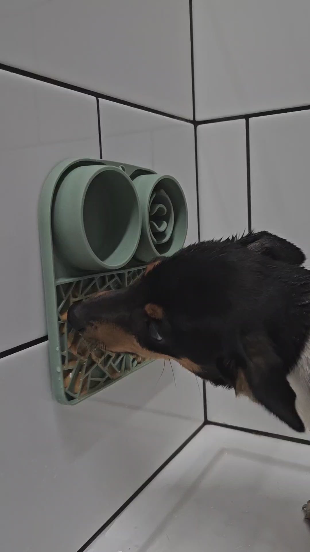 BusyPup CalmFeeder Lick Mat & Treat Station