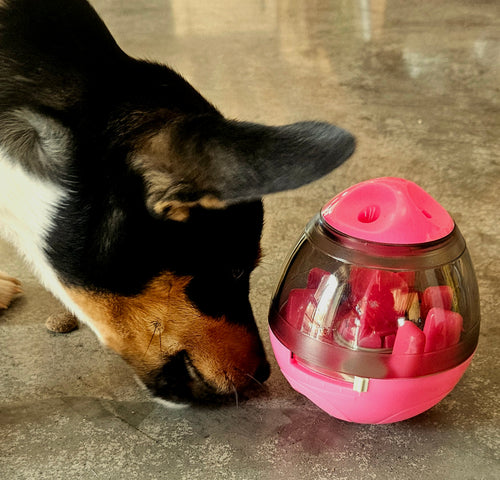 BusyPup Enrichment Puzzle Ball