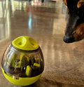 BusyPup Enrichment Puzzle Ball